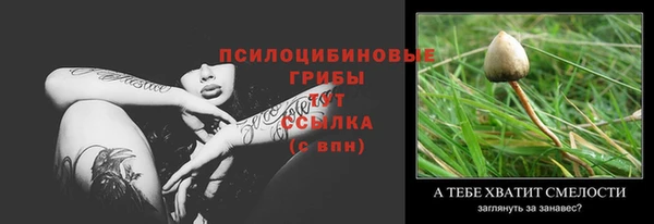 гидропоника Бугульма