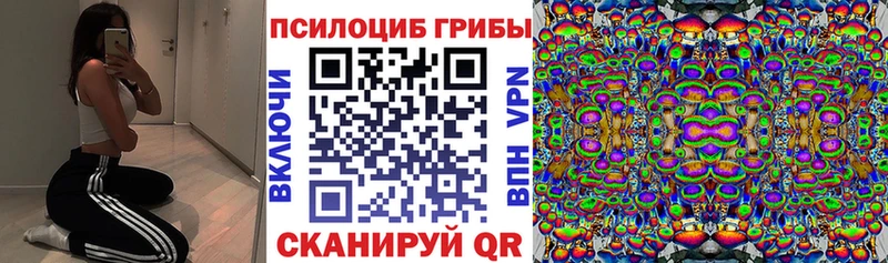 где найти   Коммунар  Псилоцибиновые грибы ЛСД 
